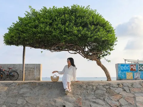 Mùa nghỉ lễ 'thắng đậm' của Măng Đen, Phú Quý
