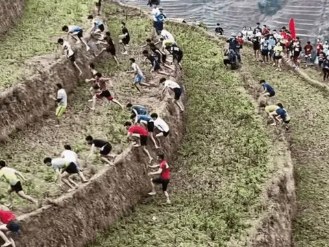 Nữ runner 'chào thua' khi leo 100 ruộng bậc thang ở Mù Cang Chải
