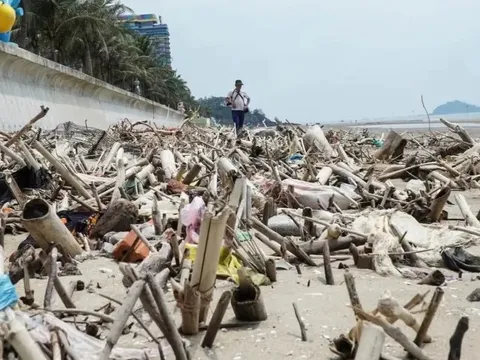 Cảnh tượng 'kinh hoàng' ở bãi biển nổi tiếng Thanh Hóa