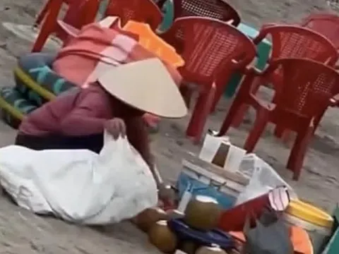 Đình chỉ người 'gom nước dừa thừa bán lại cho khách' ở Ninh Bình