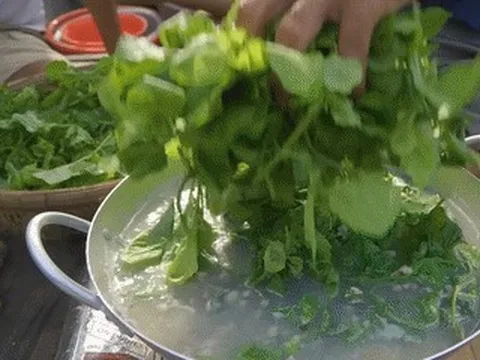 Sản vật không tốn tiền mua ở miền Tây, nấu canh ăn ngon lại mát