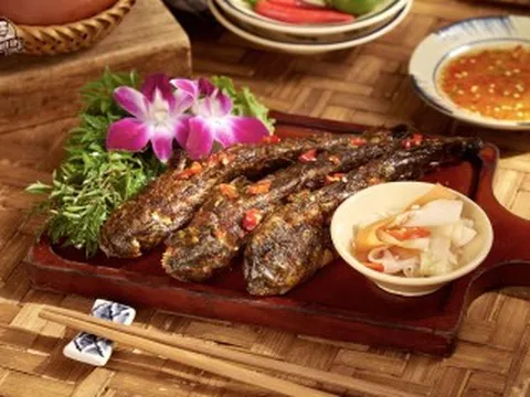 Đặc sản Cà Mau có món chế biến từ sản vật trời ban, có món 'lạ nhất hành tinh'