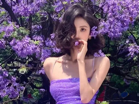 Côn Minh 'đau đầu' vì mùa phượng tím