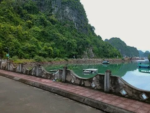 Khách Tây mê mẩn ngôi làng trăm tuổi không ô tô, xe máy ở Hải Phòng