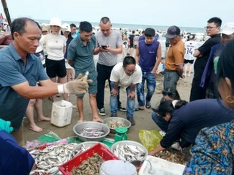 Du khách thích thú mua hải sản tươi rói ở làng chài ven biển Sầm Sơn