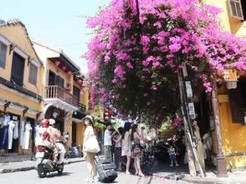 Giới trẻ đổ về phố cổ Hội An check-in mùa hoa giấy