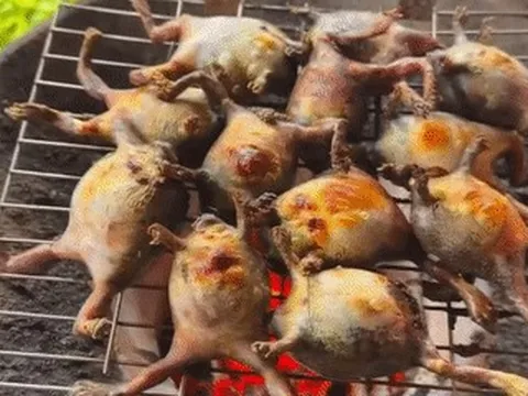 Đặc sản miền Trung có vẻ ngoài kỳ dị, được khen ngọt thơm hơn thịt gà