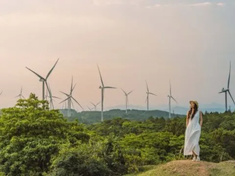 Khách Hà Nội mách điểm đến 'sáng tắm biển, chiều lên đỉnh đồi mát như Đà Lạt'