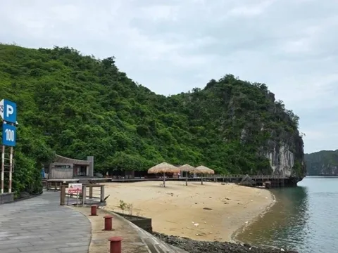 Hồi sinh bãi biển kín tiếng 'đẹp nhất thế giới' ở Việt Nam