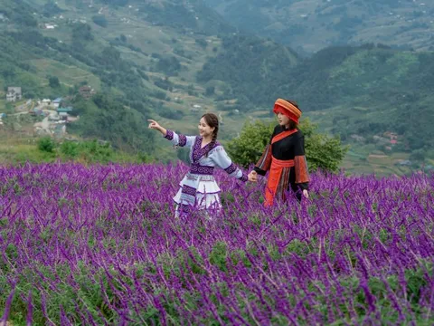 5 lý do khiến du khách muốn xách ba lô và đến Sa Pa