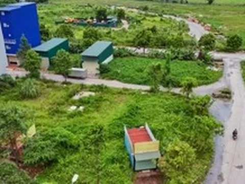 Đất đấu giá vùng ven Hà Nội bỏ trống nhiều năm, giá vẫn tăng gấp 3-4 lần