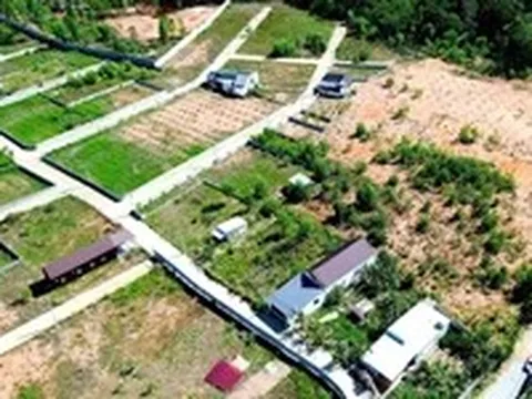 Phú Quốc tạm dừng chuyển mục đích sử dụng đất, siết phân lô tự phát