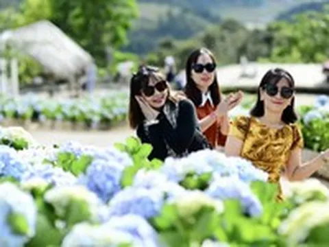 'Bản giao hưởng Xanh' là thương hiệu chung của Lâm Đồng