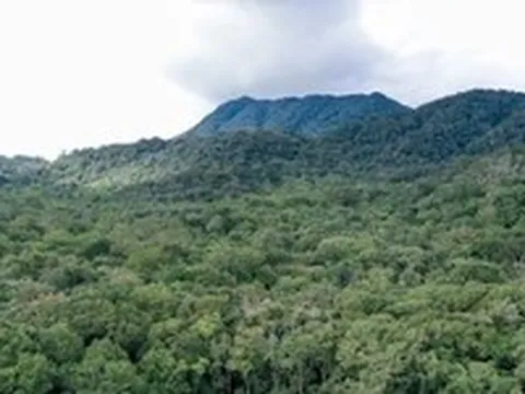 Bộ Nông nghiệp và Môi trường đề xuất tiếp tục quản lý Cúc Phương, Tam Đảo, Bạch Mã và Yok Đôn