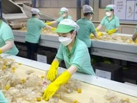 'Chiếc áo mới' của EPR