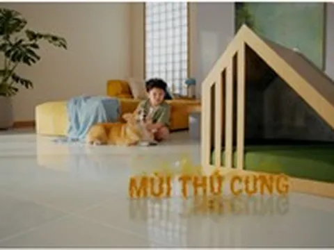 Liệu nước lau sàn có thể khử mùi hôi mà vẫn an lành cho thú cưng?