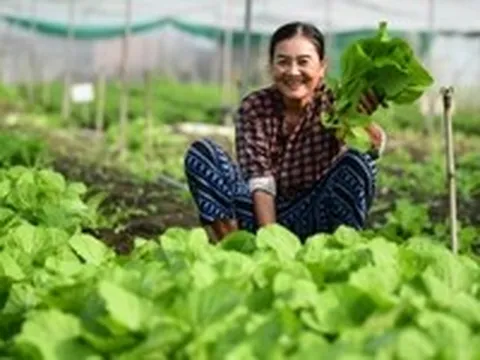 Khi nông nghiệp trở thành khát vọng của thế hệ mới