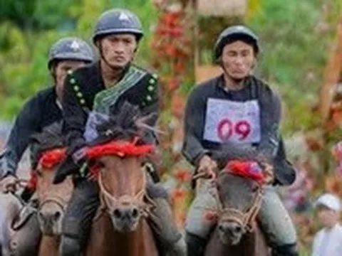 Hà Nội duyệt quy hoạch tổ hợp trường đua ngựa 30.000 chỗ ngồi và biệt thự 4 sao ở Sóc Sơn