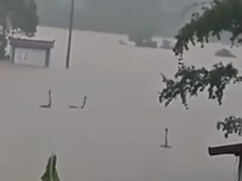 Có thật 'quái vật hồ Loch Ness' xuất hiện trong lũ ở Trung Quốc?