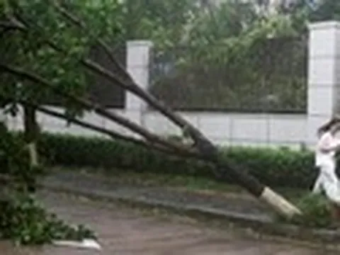 Bão Ba Vì suy yếu thành bão nhiệt đới sau khi đổ bộ vào Trung Quốc