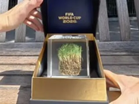 Vì sao mảnh cỏ sân chung kết World Cup giá gần 12 triệu đồng?