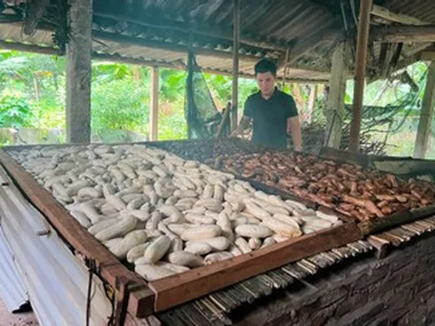 Đặc sản Tuyên Quang làm từ chuối gác bếp, vị ngọt thơm, để vài ngày vẫn mềm dẻo