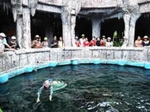 Quy hoạch đảo Trí Nguyên, Hòn Tằm ở Nha Trang: Tập trung phát triển du lịch biển đảo