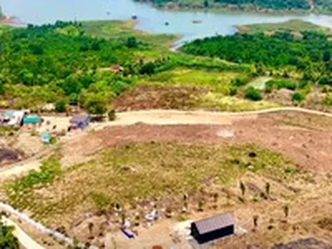 'Làng an yên 38 hộ dân' giữa đồi cà phê: Chính quyền lên tiếng cảnh báo