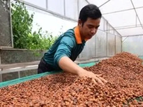 Có chưa đến 50 doanh nghiệp nông nghiệp công nghệ cao, nông nghiệp Việt cần gì để cất cánh?