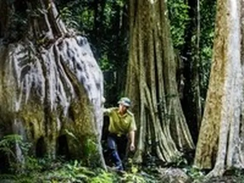 Chính phủ giao Vườn quốc gia Cát Tiên cho Đồng Nai quản lý