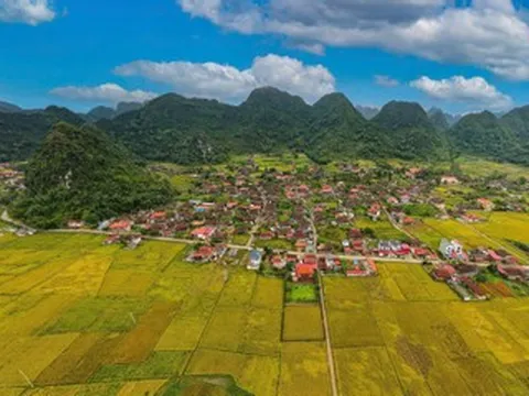 Ngôi làng miền Bắc nào có hơn 400 ngôi nhà quay 1 hướng?