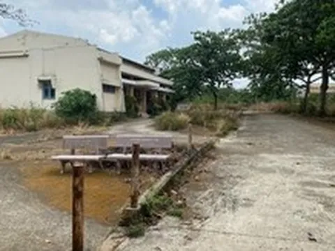 Đắk Lắk đưa 33 nhà đất dôi dư cho thuê