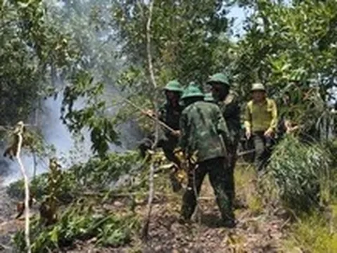 Một tuần 2 đám cháy rừng, Đà Nẵng cảnh báo cháy rừng cấp nguy hiểm tại nhiều nơi