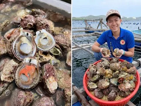 Sản vật có từ Nam ra Bắc, giá vài chục nghìn/kg, ăn ngọt ngon không kém tôm cua