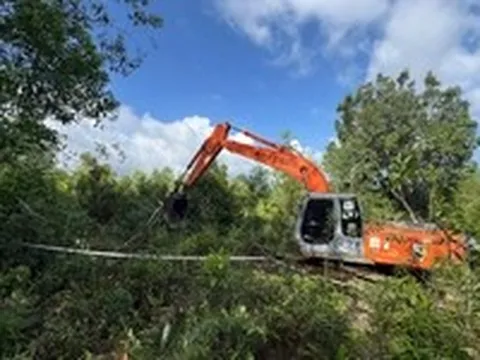 Phú Quốc cưỡng chế thu hồi hơn 22,3ha đất rừng, đất dự án bị lấn chiếm
