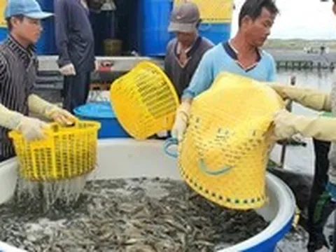 Hành động nào khi 'rào cản' thương mại ngày càng tăng?