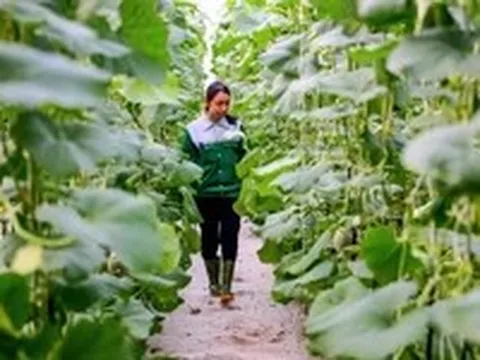 Đến 2030 TP.HCM có 10 vùng và 13 khu nông nghiệp công nghệ cao