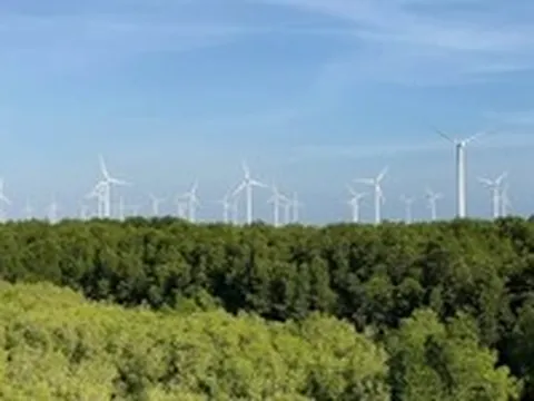 Chấp thuận chủ trương đầu tư dự án đường dây 500kV LNG Bạc Liêu - Thốt Nốt