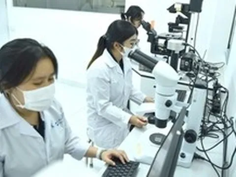 Tin tức sáng 22-7: TP.HCM thu hút người tài năng; Tăng trợ cấp với quân nhân phục viên, xuất ngũ