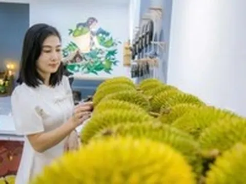 Tổ chức lại chuỗi sản xuất để giữ ngành hàng sầu riêng 'tỉ đô'