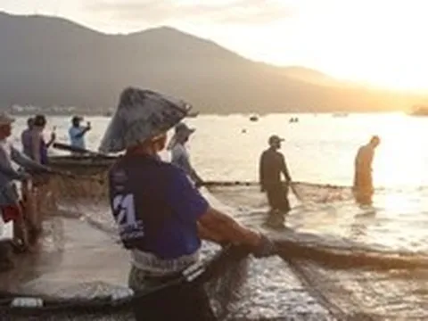 Du khách thích thú trải nghiệm kéo lưới 'Đón nhịp chợ cá bình minh'