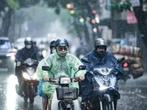 Thành phố có trí nhớ và tôi là một chi tiết nhỏ