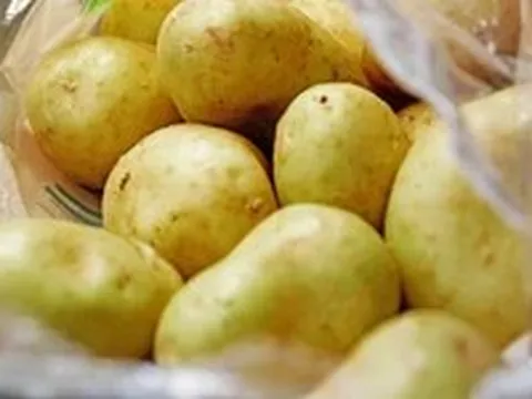 Vì sao không nên ăn khoai tây khi vỏ của chúng chuyển sang màu xanh?