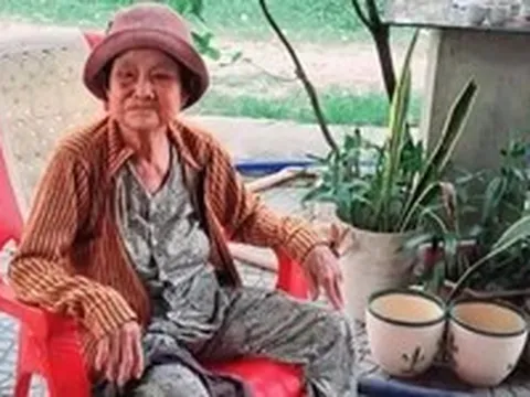Đi giữa đời bỗng nhớ tiếng rao 'Ai sương sâm hạt lựu' của bà Tư một thuở