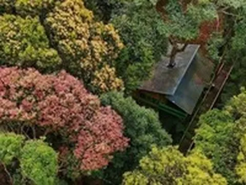 Khu nhà trên cây ở Măng Đen lọt vào đề cử Làng du lịch tốt nhất thế giới