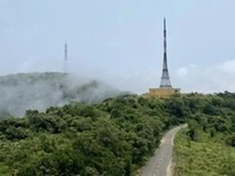 Giải tỏa kinh doanh trái phép, xử lý người cho khỉ ăn trên núi Sơn Trà