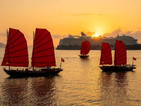Sắp mở tour ngắm bình minh vịnh Hạ Long trên thuyền buồm 3 vách