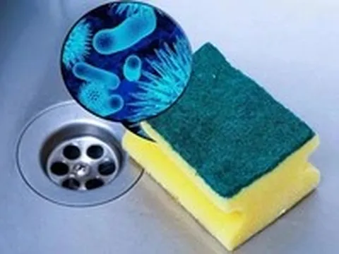 Miếng rửa chén không hôi, không bẩn nhưng vẫn đầy vi khuẩn, nghiên cứu mới cảnh báo