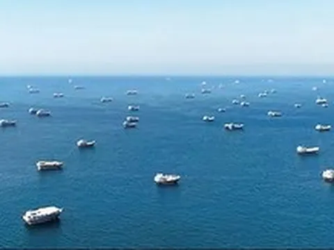 Hơn 1.500 tàu mắc kẹt ở eo biển Hormuz có thể gây 'siêu phát tán' sinh vật xâm lấn toàn cầu