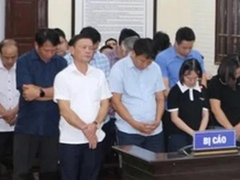 Cựu phó chủ tịch huyện cùng 11 thuộc cấp lãnh án tù vì cấp đất sai